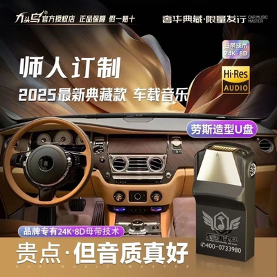 宝马专用2025最新歌曲车载U盘WAV无损柏林之声潮流DJ嗨歌经典音乐