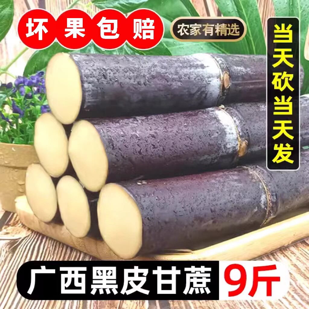 广西黑皮甘蔗9斤新鲜水果脆甜多汁应当季孕妇甜杆果蔗整箱特产