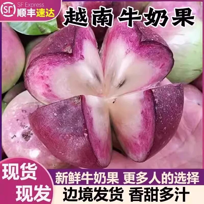 【顺丰】越南品种牛奶果热带新鲜水果金星果星苹果宝宝孕妇月子果
