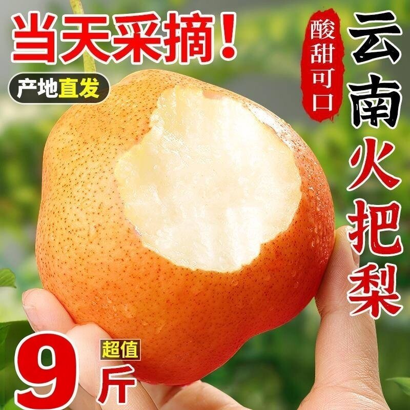 云南火把梨红梨9斤新鲜梨子水果当季现摘薄皮脆酥梨香梨雪梨整箱