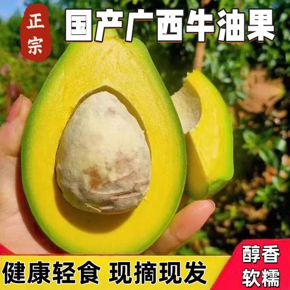 广西超大牛油果新鲜鳄梨油梨当季水果现摘孕妇宝宝水果整箱包邮