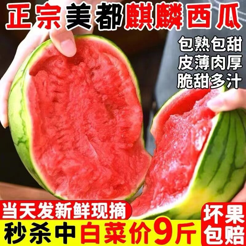 8-10斤装云南昆明黑美人西瓜水果新鲜当季整箱甜现摘现发西瓜薄皮