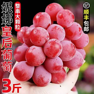 【顺丰】现摘现发妮娜皇后妮娜公主葡萄孕妇当季新鲜水果葡萄新鲜