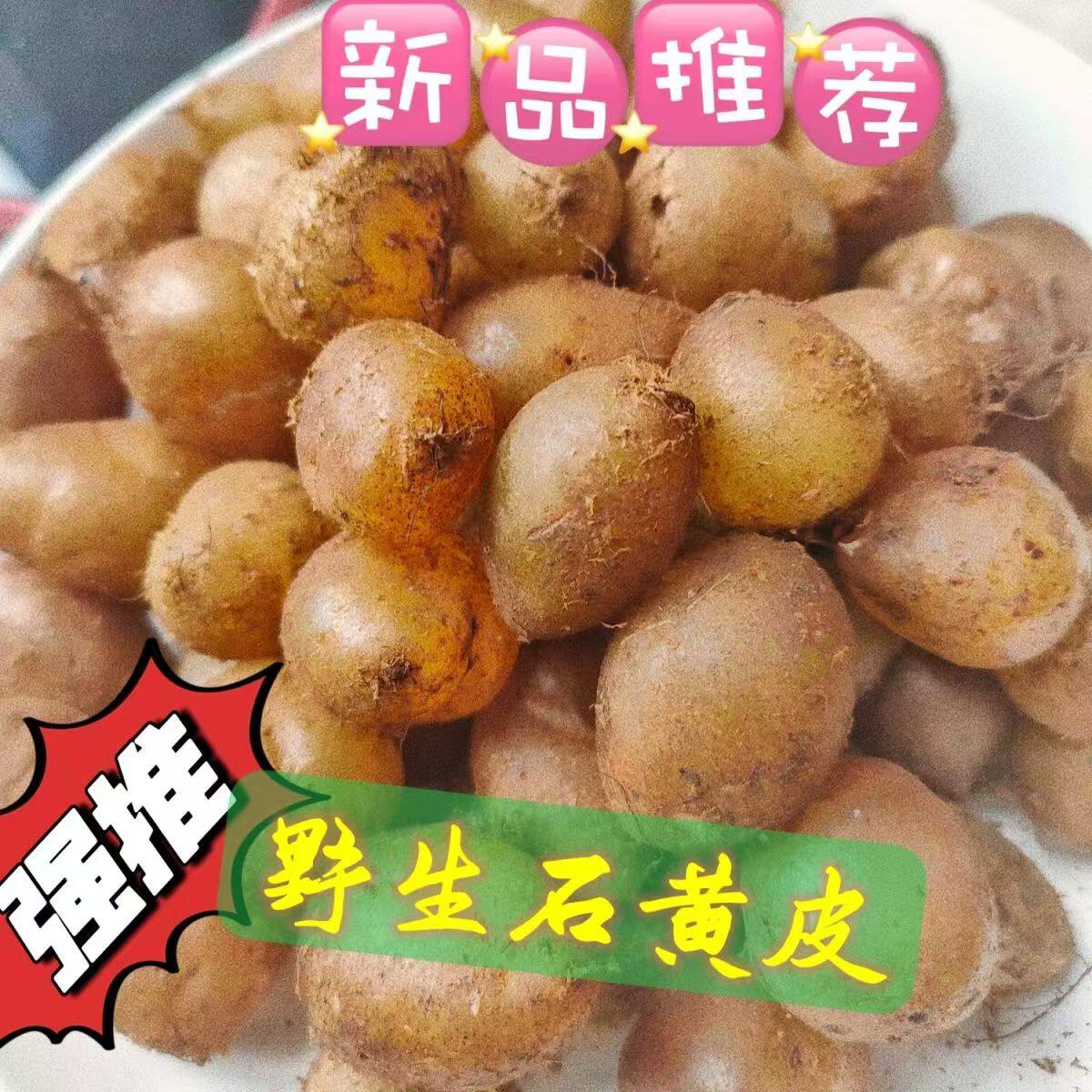 新鲜石黄皮现挖先发贵州
