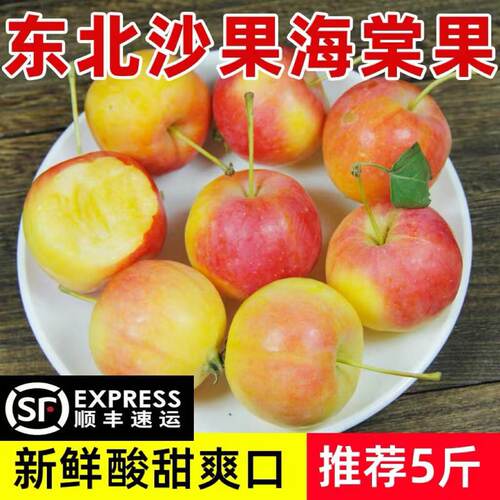 东北海棠果沙果新鲜现摘现发小沙果新鲜包邮水果糖心小苹果发顺丰