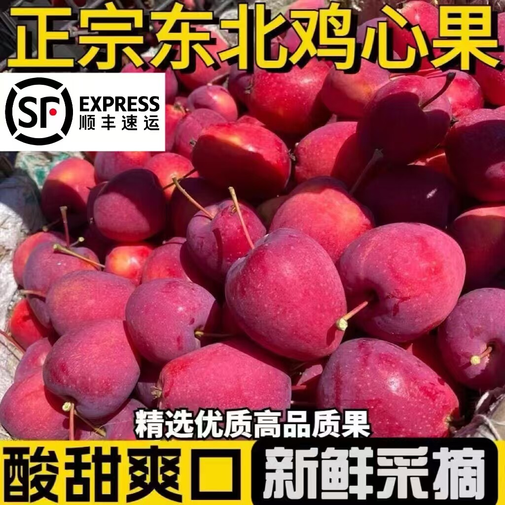 现货东北特产鸡心果新鲜采摘甜脆大秋果沙果海棠龙丰果小苹果顺丰