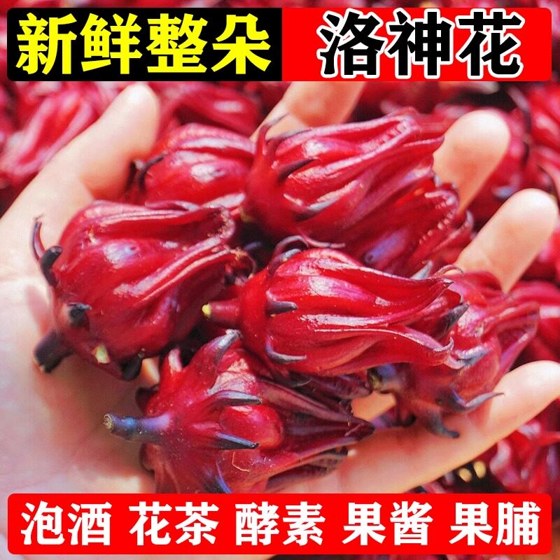广西桂林新鲜玫瑰茄果脯原材料