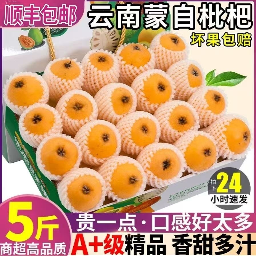 云南蒙自枇杷鲜果5斤长虹琵琶果琵笆特级水果新鲜当季大果现货