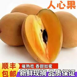 顺丰海南人心果新鲜大果当季整箱稀罕见热带孕妇水果现货现摘