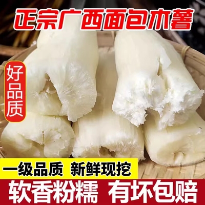 广西特产面包木薯新鲜现挖带皮白肉木薯粗粮3/5/9斤树薯粉香番薯
