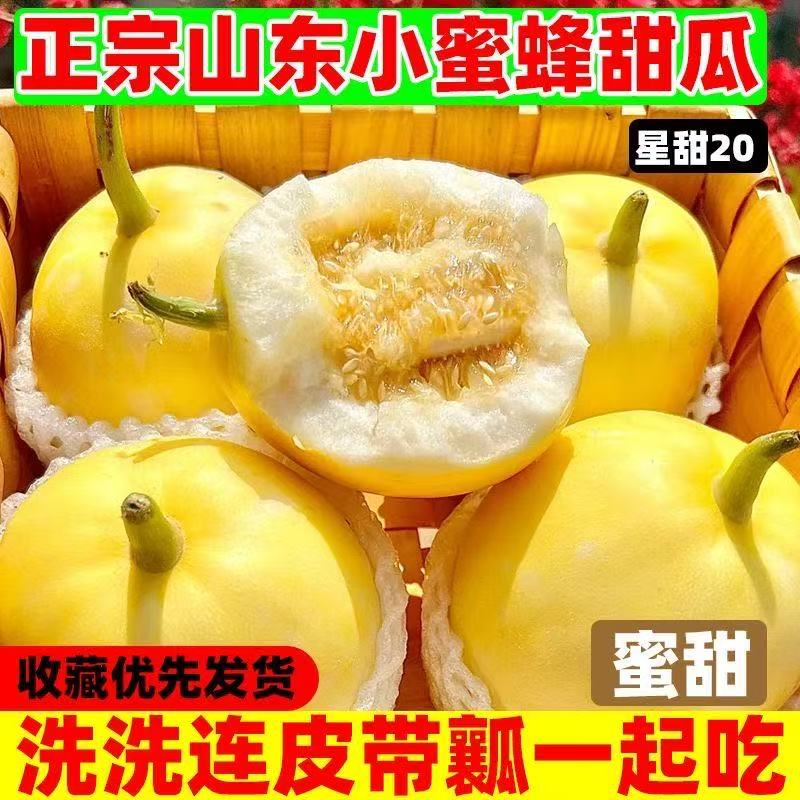 2026山东小蜜蜂甜瓜香瓜蜜罐甜瓜兴甜田20二十甜瓜新鲜水果白糖罐