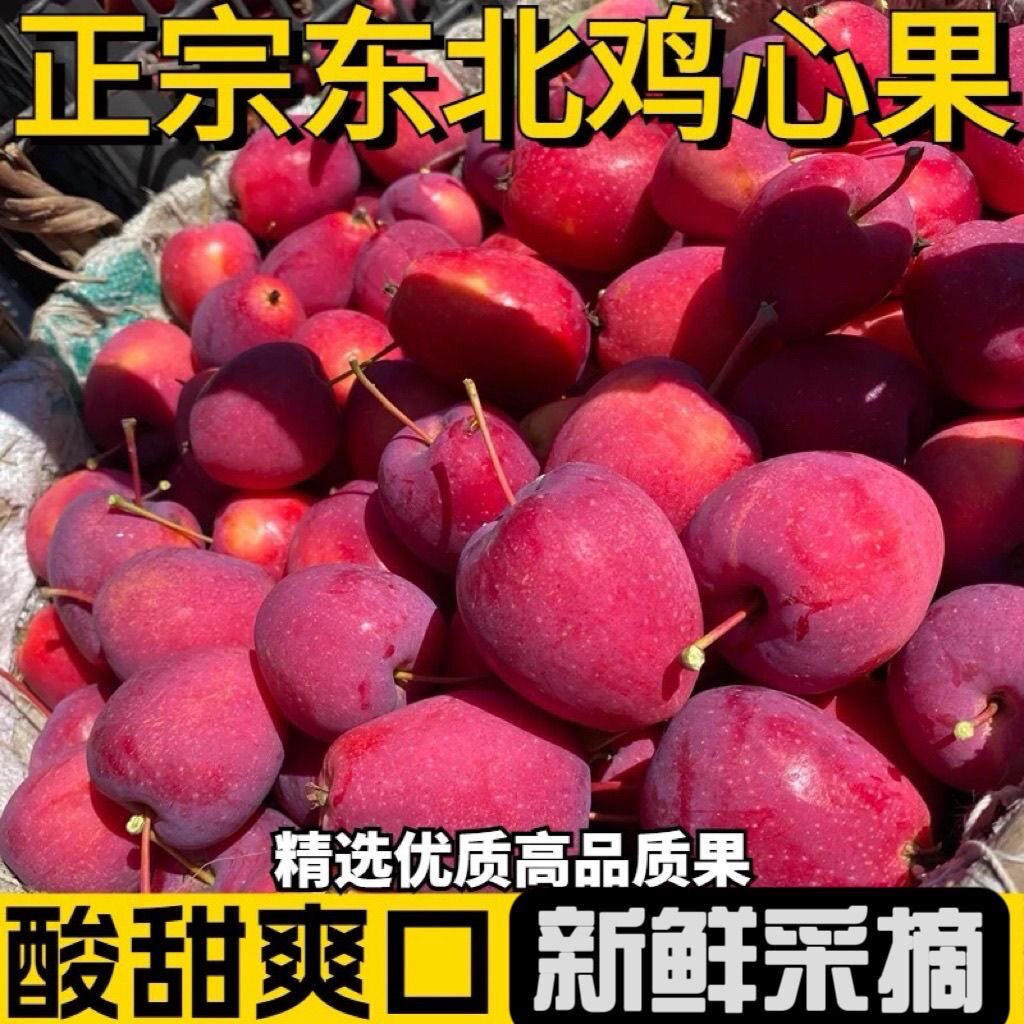 现货东北特产鸡心果新鲜采摘甜脆大秋果沙果海棠龙丰果小苹果