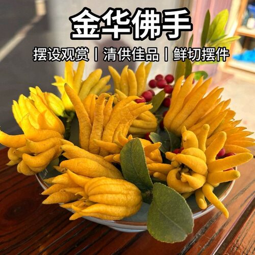 金华佛手柑鲜果水培佛手柑香橼大果观赏清供插花新鲜佛手现摘现发