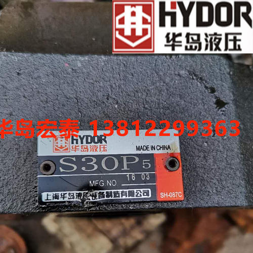 上海华岛液压止逆阀S30P