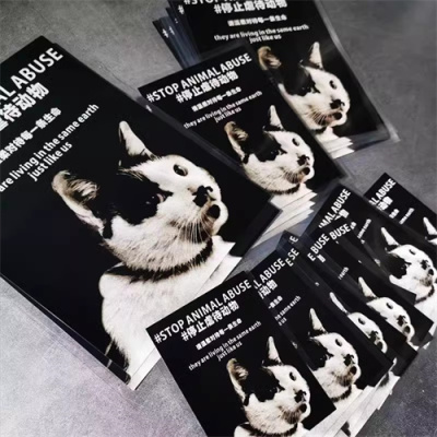 我为奶牛猫发声汽车贴纸