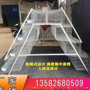 优质蛋鸡笼养殖场专用笼鸡笼子阶梯式蛋鸡笼养鸡设备养殖鸡笼全套