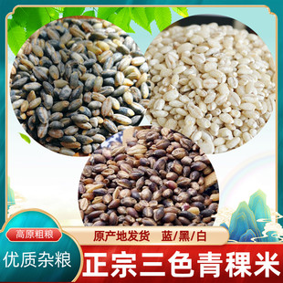 新米高原青海青稞米蓝青稞麦仁黑青稞米仁稀饭杂粮真空粗粮500g