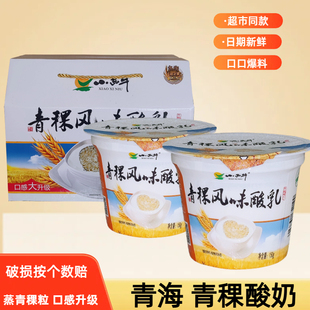 青海小西牛青稞风味酸乳老酸奶高原谷物生牛乳青稞酸奶150g*12