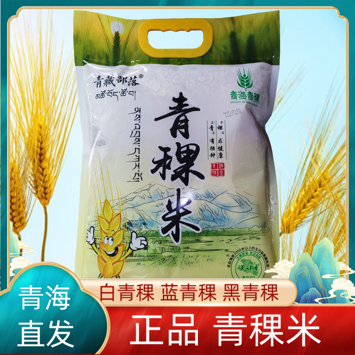 新米青稞青藏部落杂粮图片