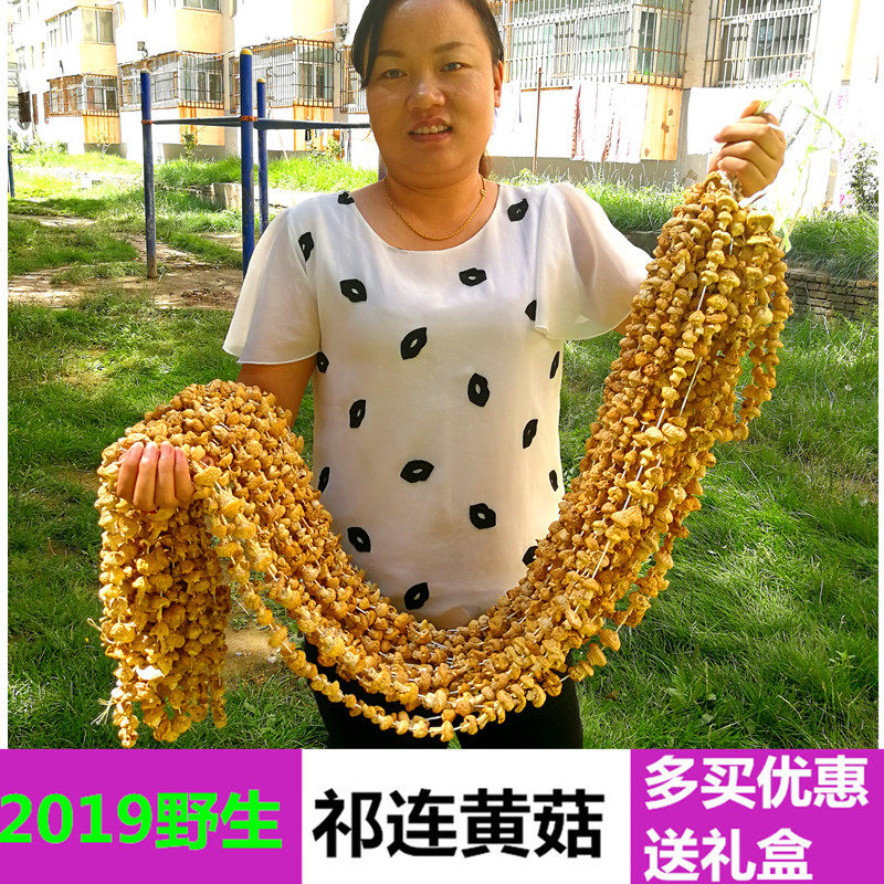 2022青海祁连山野生黄蘑菇 祁连黄菇钉子菇黄蘑菇 特价100g包邮