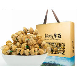 2025年青海特产祁连黄蘑菇礼盒新鲜黄菇炒菜菌菇生态礼盒360g
