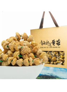 2025年青海特产祁连黄蘑菇礼盒新鲜黄菇炒菜菌菇生态礼盒360g