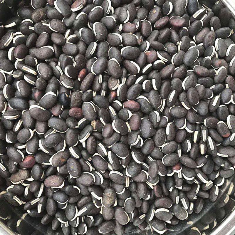 葛藤种子护坡种籽百花银背藤野葛根边坡绿化藤本植物沙土巩固爬藤