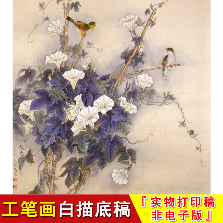 工笔画白描底稿-牵牛花-斗方小品-梁燕生秋意-国画花鸟线条稿a482
