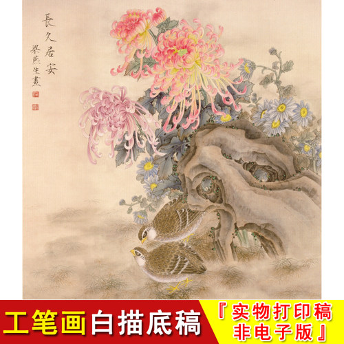 工笔画白描底稿梁燕生-花鸟-斗方小品-菊花鹌鹑-长久居安A272