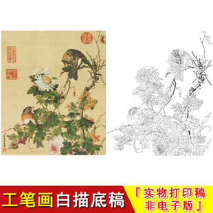 郎世宁工笔花鸟白描底稿仙萼长春册菊花国画初学临摹起稿上色LT16