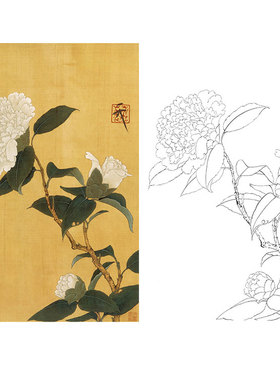 工笔画白描底稿花鸟国画白山茶图于非闇实物打印宣纸过稿临摹YF23