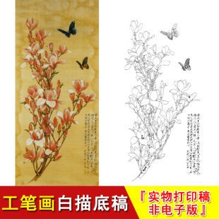 工笔画白描底稿红玉兰花辛夷蝴蝶竖幅国画实物打印线条临摹YF41