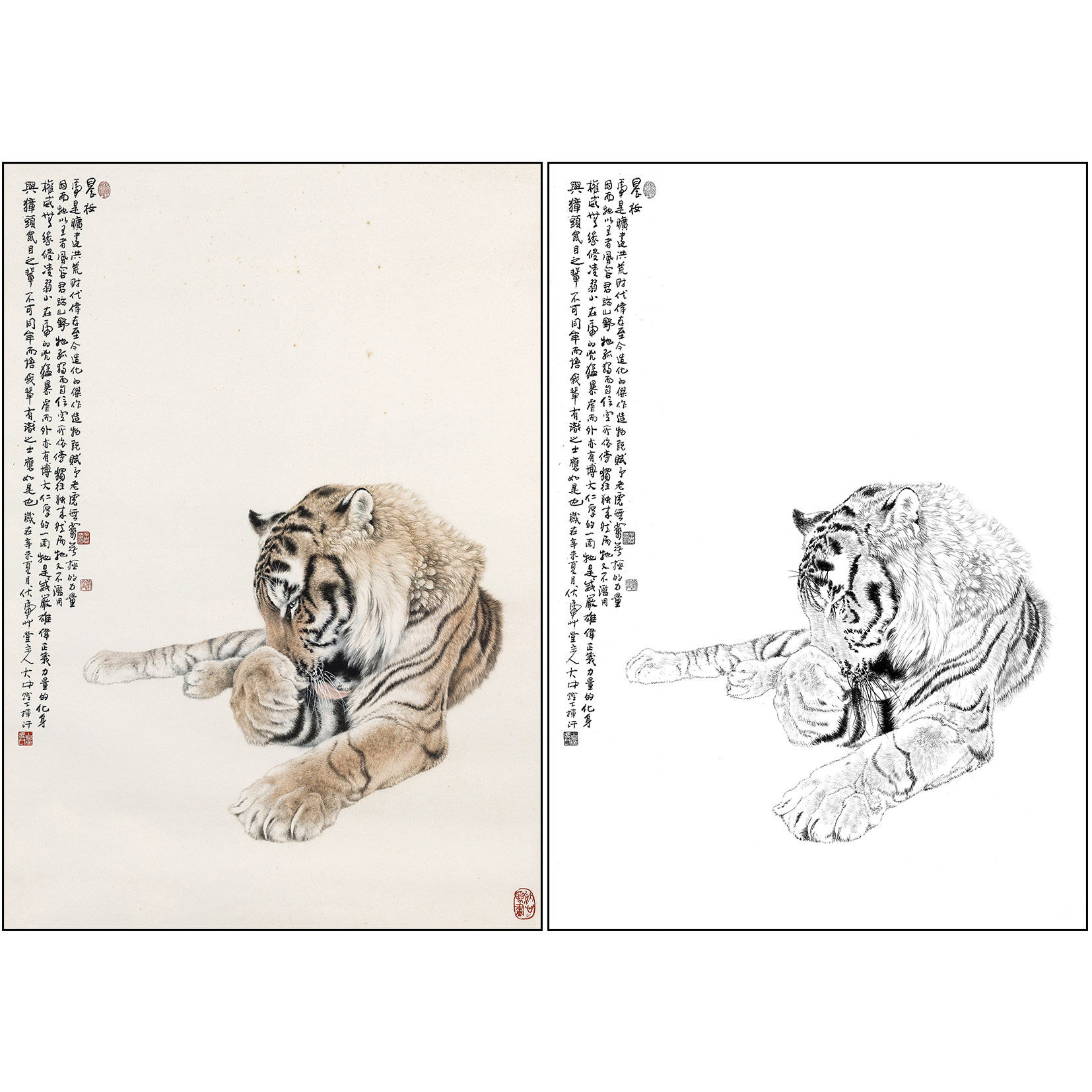 老虎白描底稿冯大中工笔画《晨妆》动物临摹实物打印线稿DZ08