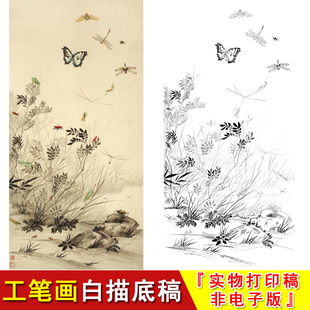 俞致贞国画工笔画白描底稿花鸟草虫蝴蝶四尺临摹素材实物打印HV05