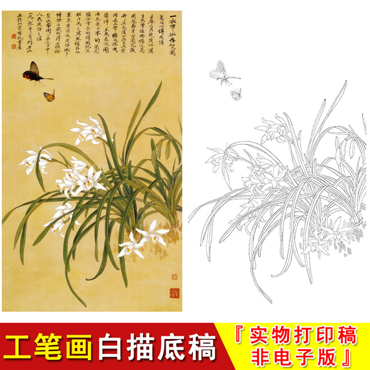 俞致贞国画花鸟—象牙白兰花工笔画白描底稿临摹初学非电子版jv39