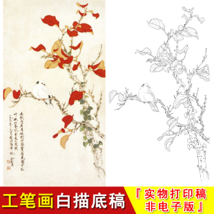 JV34 俞致贞国画花鸟工笔画底稿红叶素材勾线实物白描非电子版