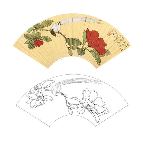 于非闇工笔画白描底稿扇面国画花鸟茶花绶带实物打印YF62