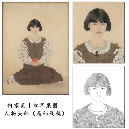 何家英红苹果局部白描人物工笔画