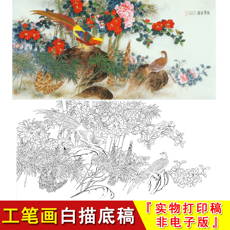 工笔白描底稿野鸡横幅四尺六尺花鸟山茶锦鸡-实物线描稿a063