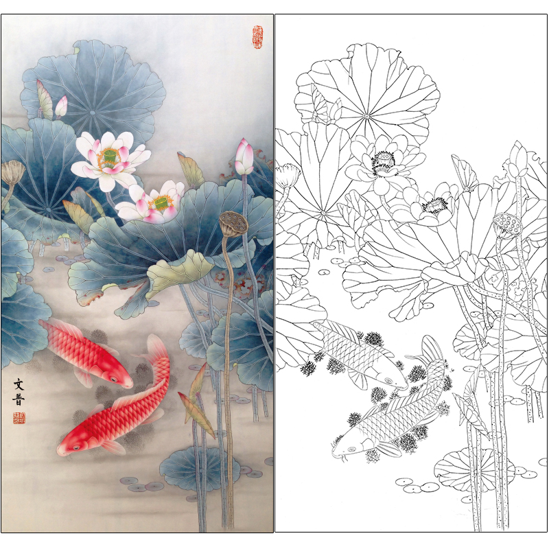 荷花鲤鱼线稿工笔白描底稿非宣纸