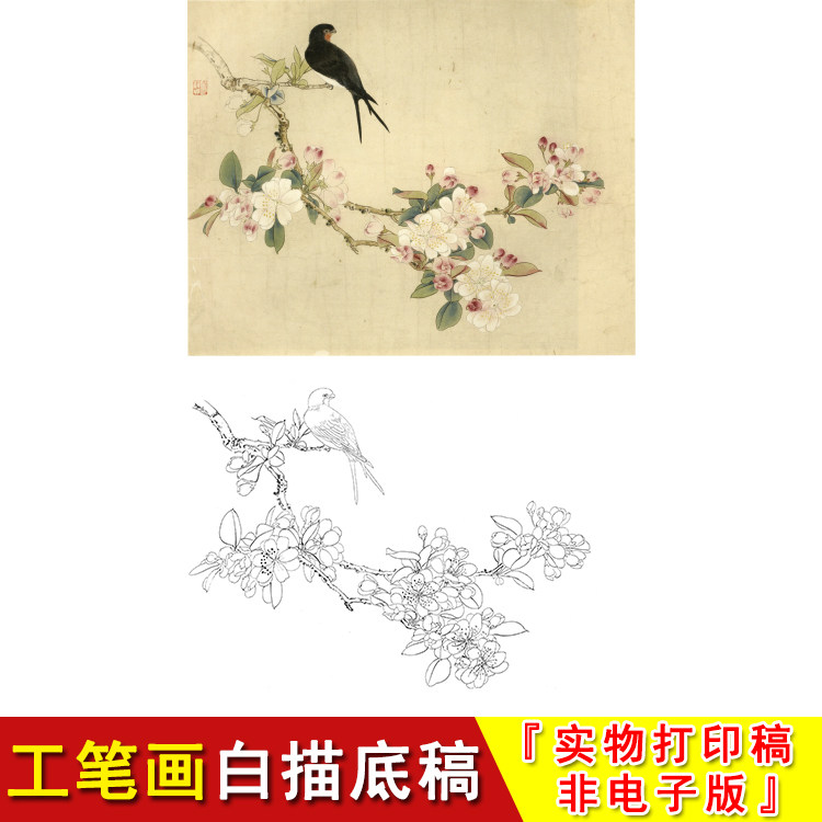 俞致贞高清工笔画白描底稿燕子西府海棠初学国画临摹练习素材jv25