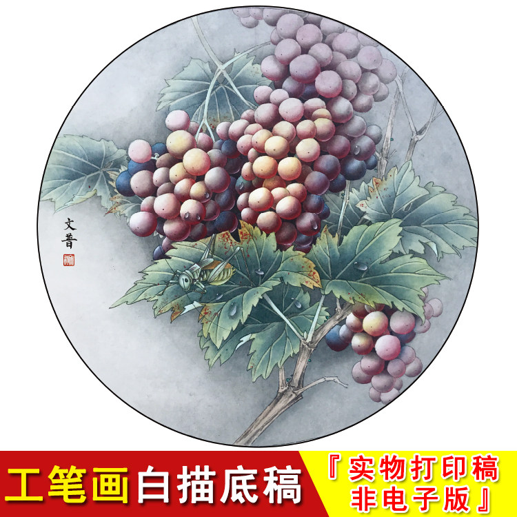 工笔白描底稿国画葡萄圆形小品花鸟临摹稿实物打印非电子版wp05