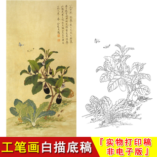 俞致贞高清工笔画蔬菜茄菜图简单练习透过稿实物打印白描底稿JV06