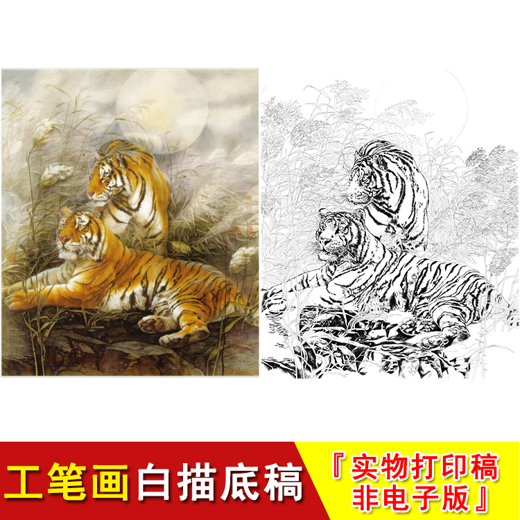 老虎工笔画白描底稿高清写意动物国画临摹素材大幅练习起稿lq08