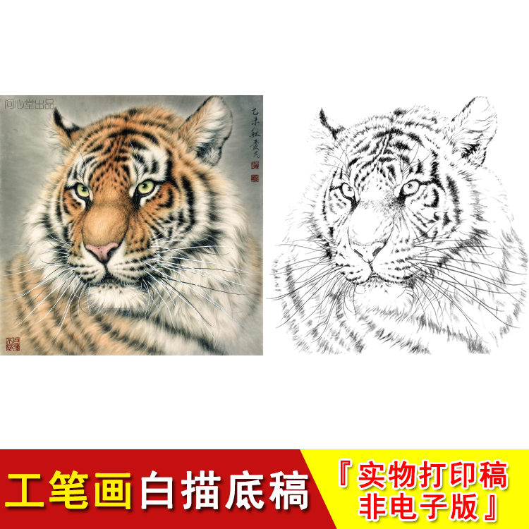 老虎头工笔画白描底稿四尺斗方动物国画临摹素材大幅练习起稿WH15