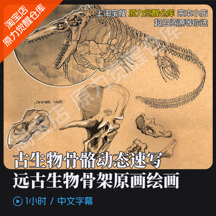 古生物骨骼动态速写教程骨架原画绘画参考素材