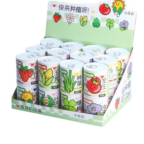 摆件盆栽小花农种植祝福绿植小学网红款盆栽幼儿园种植