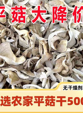 无干燥剂新货平菇干货干蘑菇干菌菇类白菇干平菇丝条非凤尾菇
