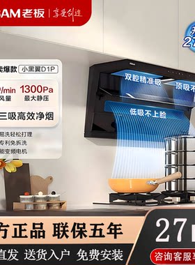小黑翼D1P顶侧双吸变频