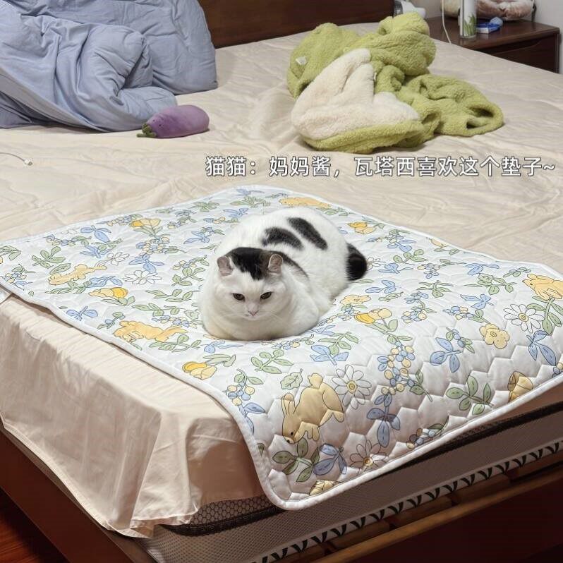 猫咪睡觉垫子秋冬睡觉凉席猫床宠物垫子狗狗四季通用2026新款透气